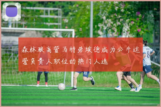 森林狼高管马特劳埃德成为公牛运营负责人职位的热门人选